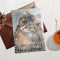 Cartão de Natal Meowy Amante de Gatos Férias Foto
