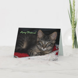 Festividades Cartão de Natal Merry Caspian