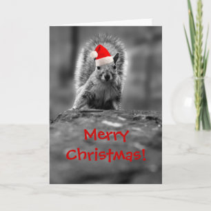 Festividades Cartão de Natal Merry papais noeis Squirrel