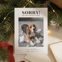 Cartão de Natal Moderno com Foto Engraçada de Cach