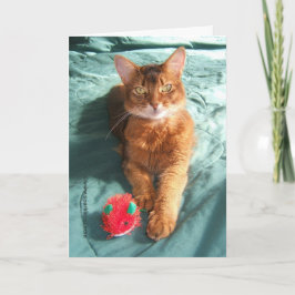 Festividades Cartão de Natal Mousey de Catmas