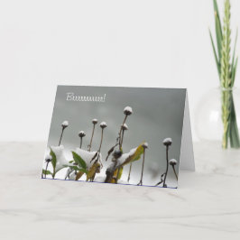 Festividades Cartão de Natal nevado das hastes