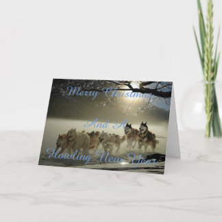Festividades Cartão de Natal nevado do cão