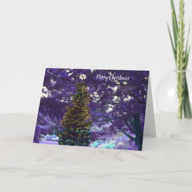 Festividades Cartão de Natal Noturno Roxo (Frente)