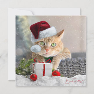 Festividades Cartão de Natal Orange Tabby FLAT de 5,25 polegada