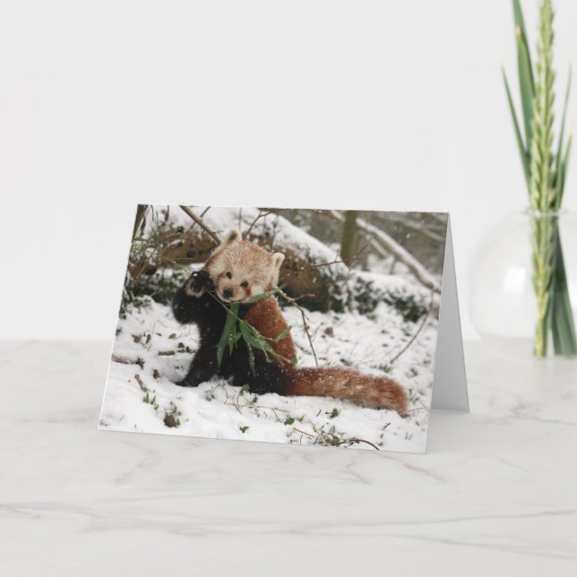 Festividades Cartão de Natal - panda vermelha 5 (Frente)