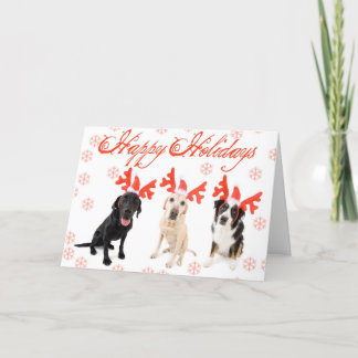 Festividades Cartão de Natal para Cães