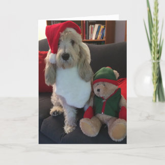 Festividades Cartão de Natal para Cães