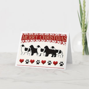 Festividades Cartão de Natal para cães da Terra Nova