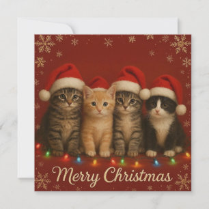 Festividades Cartão de Natal para gatinhos bonitos.