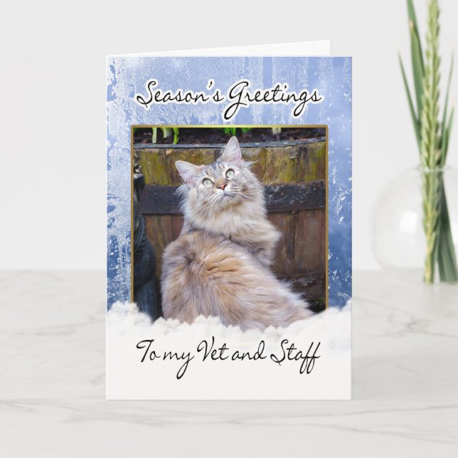 Festividades Cartão de Natal para o veterinário - cartão de (Frente)