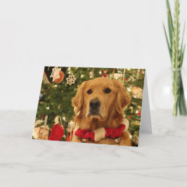 Festividades Cartão de Natal para ouro Retriever
