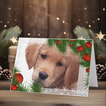 Cartão de Natal para ouro Retriever