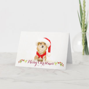 Festividades Cartão de Natal para Papais noeis Corgi   DaysieMe