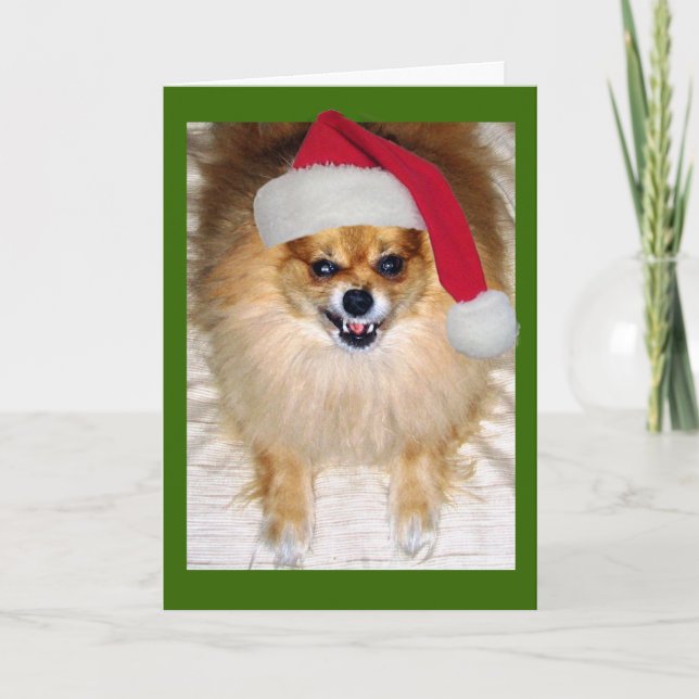 Festividades Cartão de Natal para Papais noeis Incorretos (Frente)