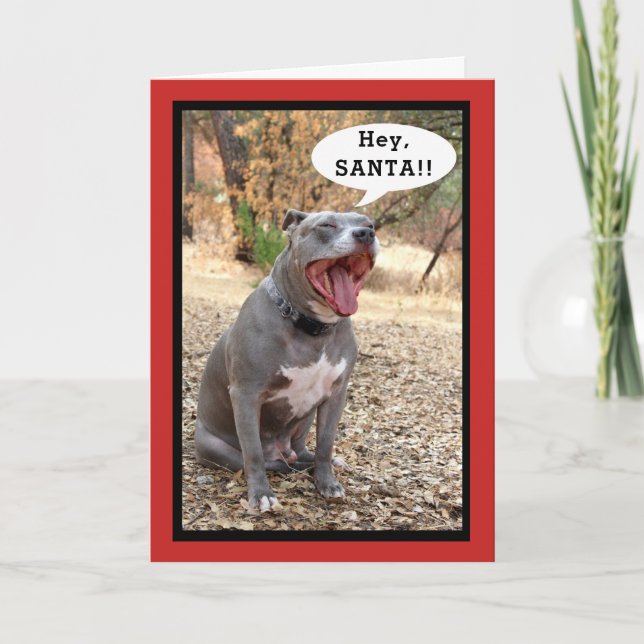 Festividades Cartão de Natal para Papais noeis Pitbull (Frente)
