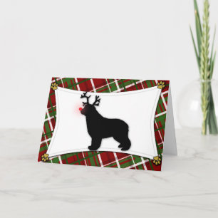 Festividades Cartão de Natal para Reindeer da Terra Nova