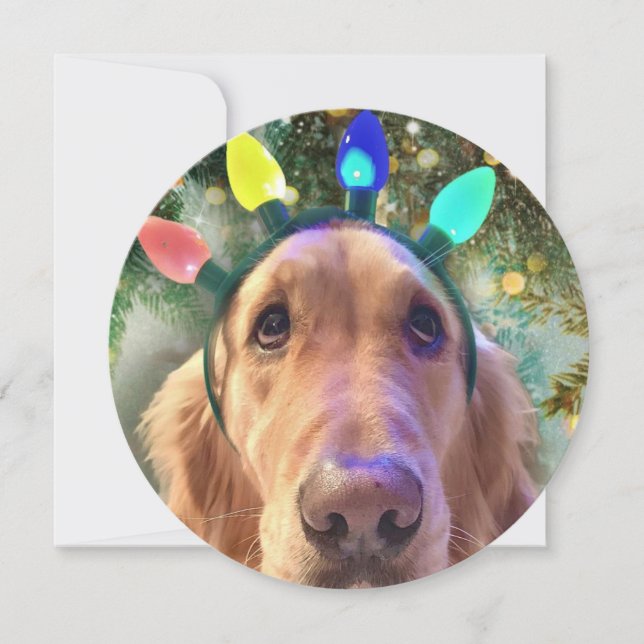 Festividades Cartão de Natal para Retriever de Ouro Redondo Per (Frente)