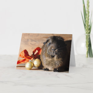Festividades Cartão de Natal Para Suínos