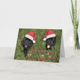Festividades Cartão de Natal Peludo do Ursinho Notta