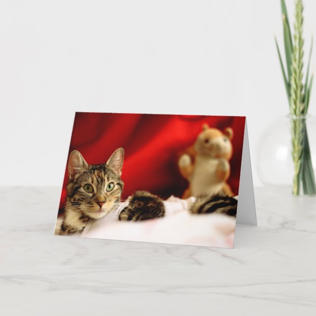 Festividades Cartão de Natal Pet Cat (Frente)