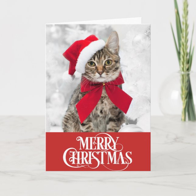 Festividades Cartão de Natal Pet Cat Dog (Frente)