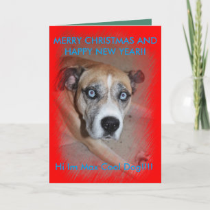 Festividades Cartão de Natal Pet Dog