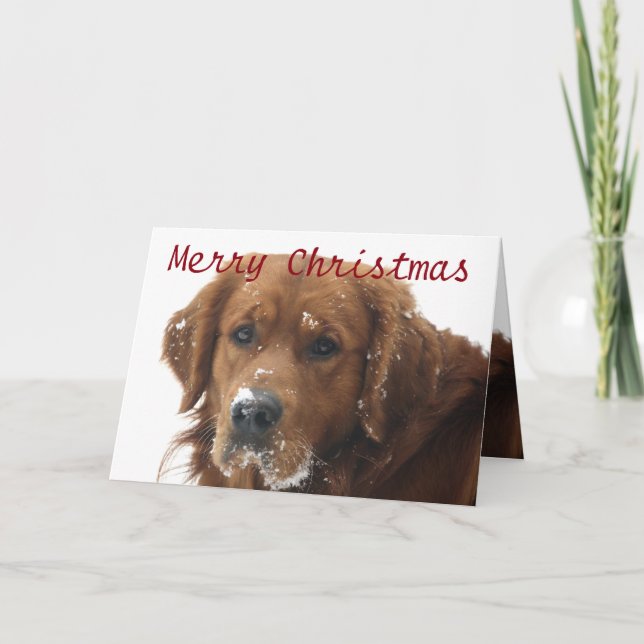 Festividades Cartão de Natal Pet Personalizado (Frente)