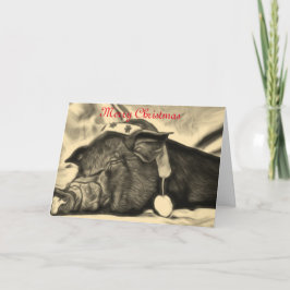 Festividades Cartão de Natal Pig Pacífico