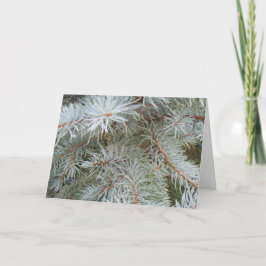 Festividades Cartão de Natal Pine