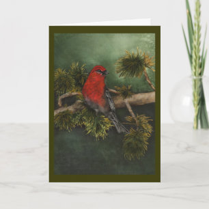 Festividades Cartão de Natal Pine Grosbeak