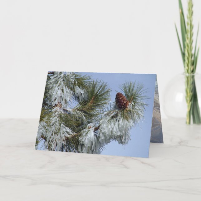 Festividades Cartão de Natal - Pinecone (Frente)