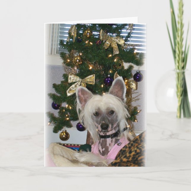 Festividades Cartão de Natal Pinto Chinês (Frente)