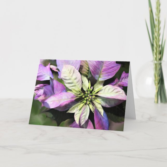 Festividades Cartão de Natal - Poinsettia Lavanda (Frente)