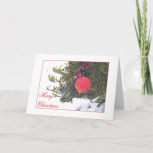 Festividades Cartão de Natal POM & GREENS