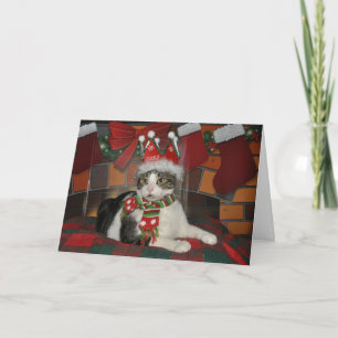 Festividades Cartão de Natal preto e branco do gato do gato