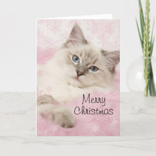 Festividades Cartão de Natal Ragdoll