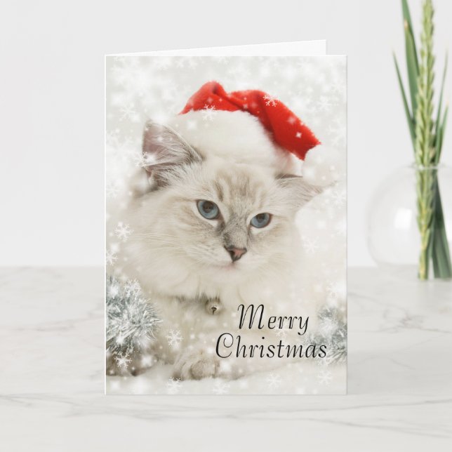 Festividades Cartão de natal Ragdoll (Frente)
