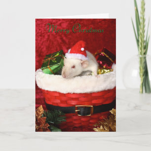 Festividades Cartão de Natal Rat