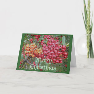 Festividades Cartão de Natal Red Berries