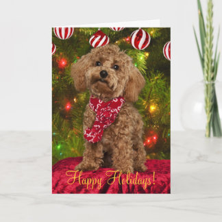 Festividades Cartão de Natal Red Poodle
