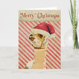 Festividades Cartão de Natal rosa Alpaca