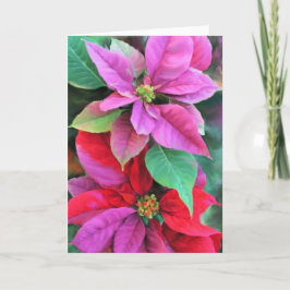 Festividades Cartão de Natal Rosa e Pontos Vermelhos