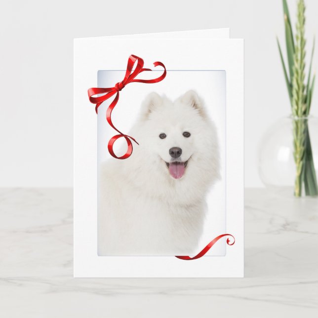 Festividades Cartão de Natal Samoyed (Frente)