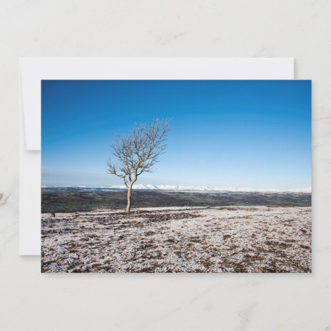 Festividades Cartão de Natal Scout Scar (Frente)