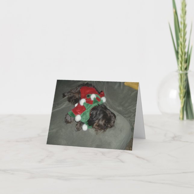 Festividades Cartão de Natal Shih Tzu (Frente)