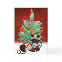 Cartão de Natal Siamese Kitten