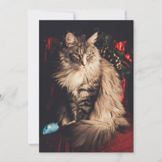 Festividades Cartão de Natal Smilla V1