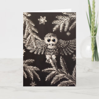 Festividades Cartão de Natal Snowy Owlet