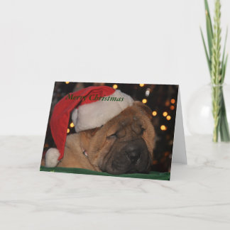 Festividades Cartão de Natal sonolento do filhote de cachorro